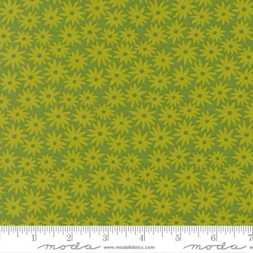 Elizabeth Hartman Scenery Sedum -  Limeade