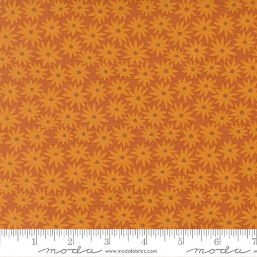 Elizabeth Hartman Scenery Sedum - Rusty