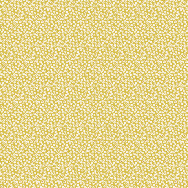 Tender Daisies - Yellow