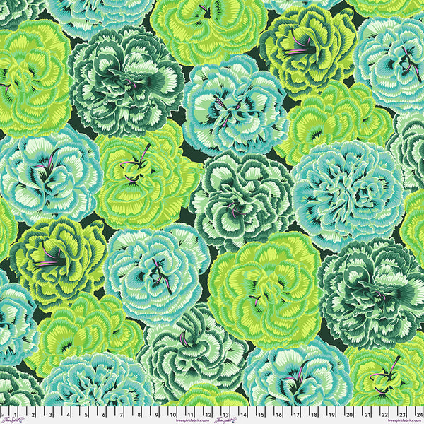 Philip Jacobs Picotee Carnations - Green