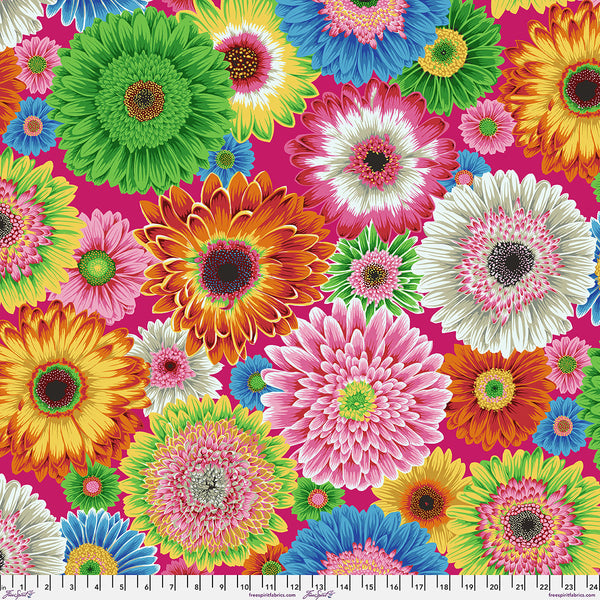 Philip Jacobs Gerbera Daisies - Bright
