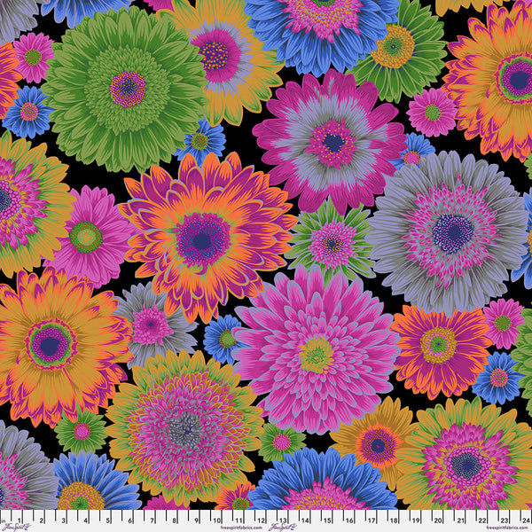 Philip Jacobs Gerbera Daisies - Dark