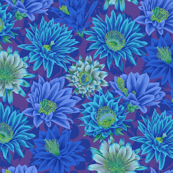 Philip Jacobs Cactus Flower - Blue